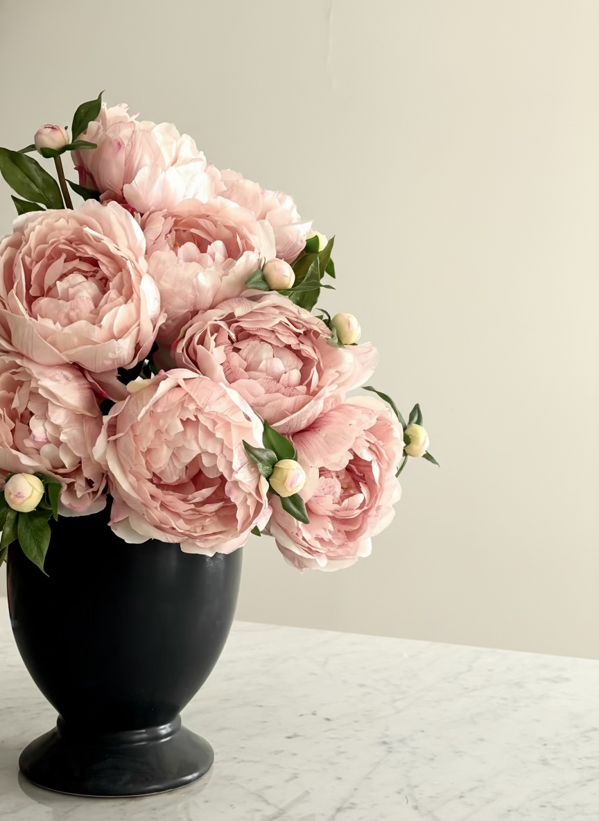 Peonia Premium Rosa claro con Botón - 48 cm