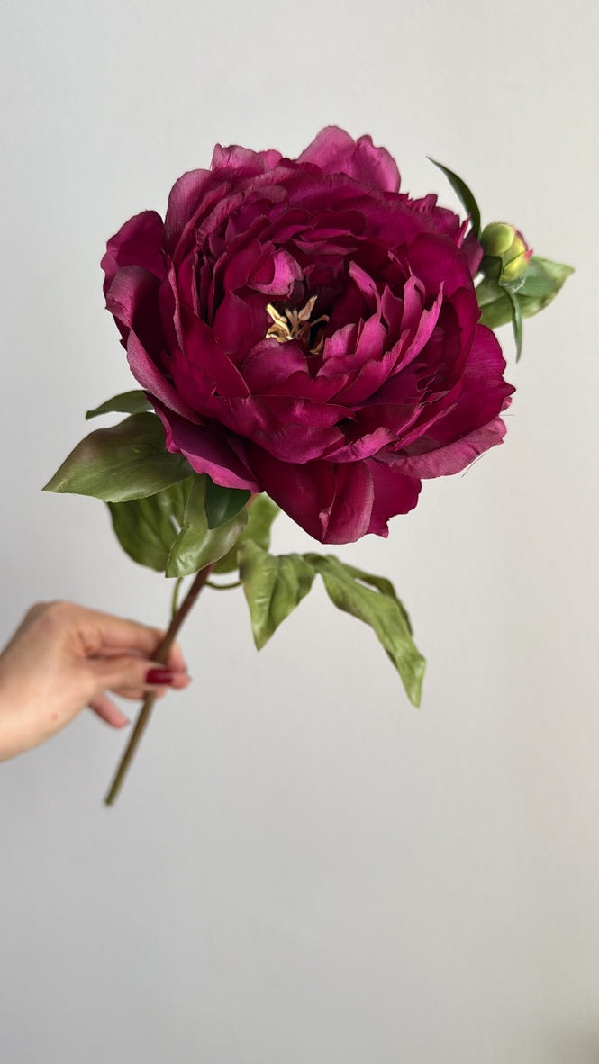 Peonia Premium Vino con Botón - 48 cm