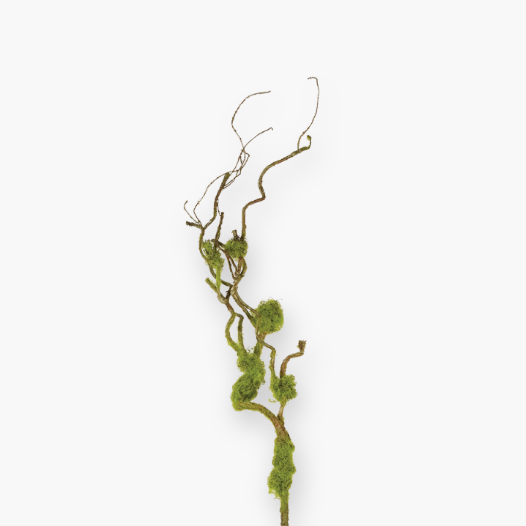 Mossy Twig branch - 97 cm