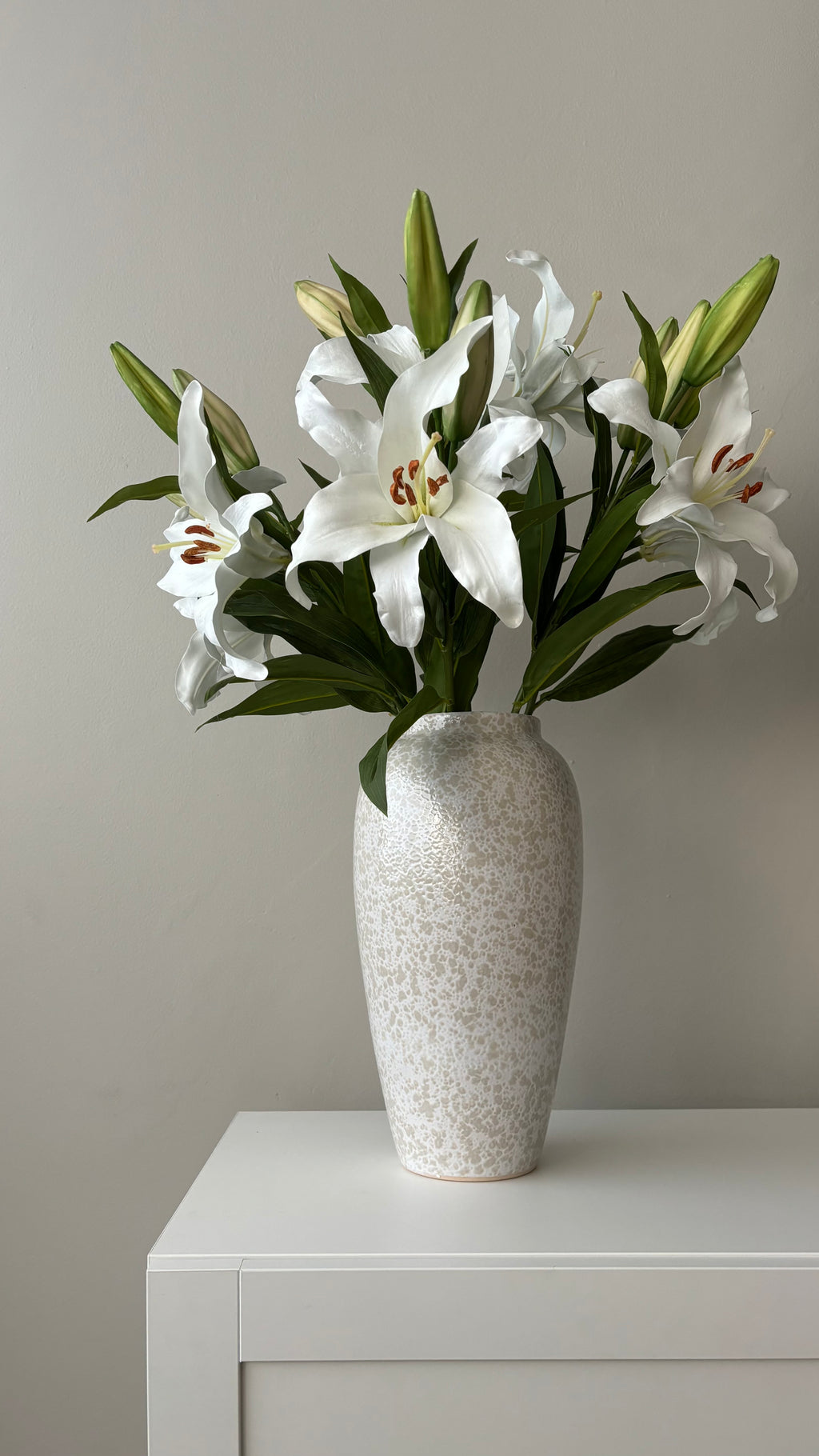 Casa Blanca Premium - 69 cm