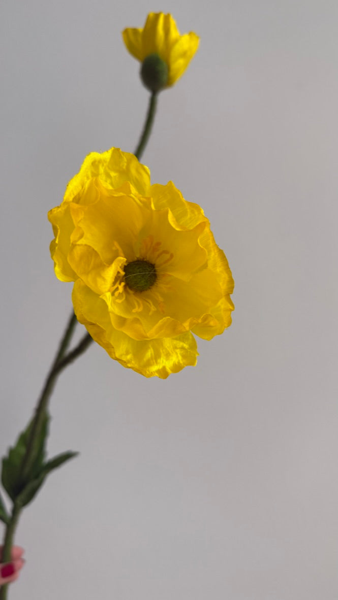 Poppy Amarilla - 74 cm