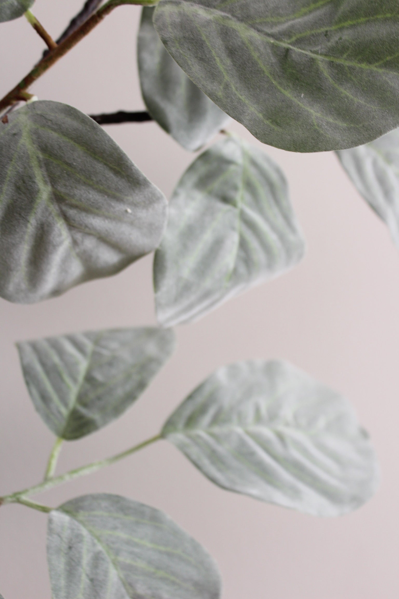 Oval leaf branch - 130 cm