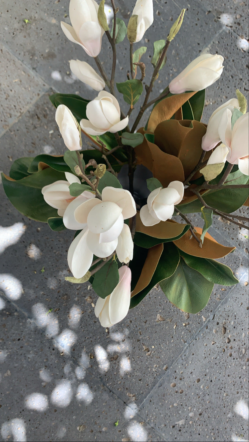 Hoja Magnolia Premium - 36 cm