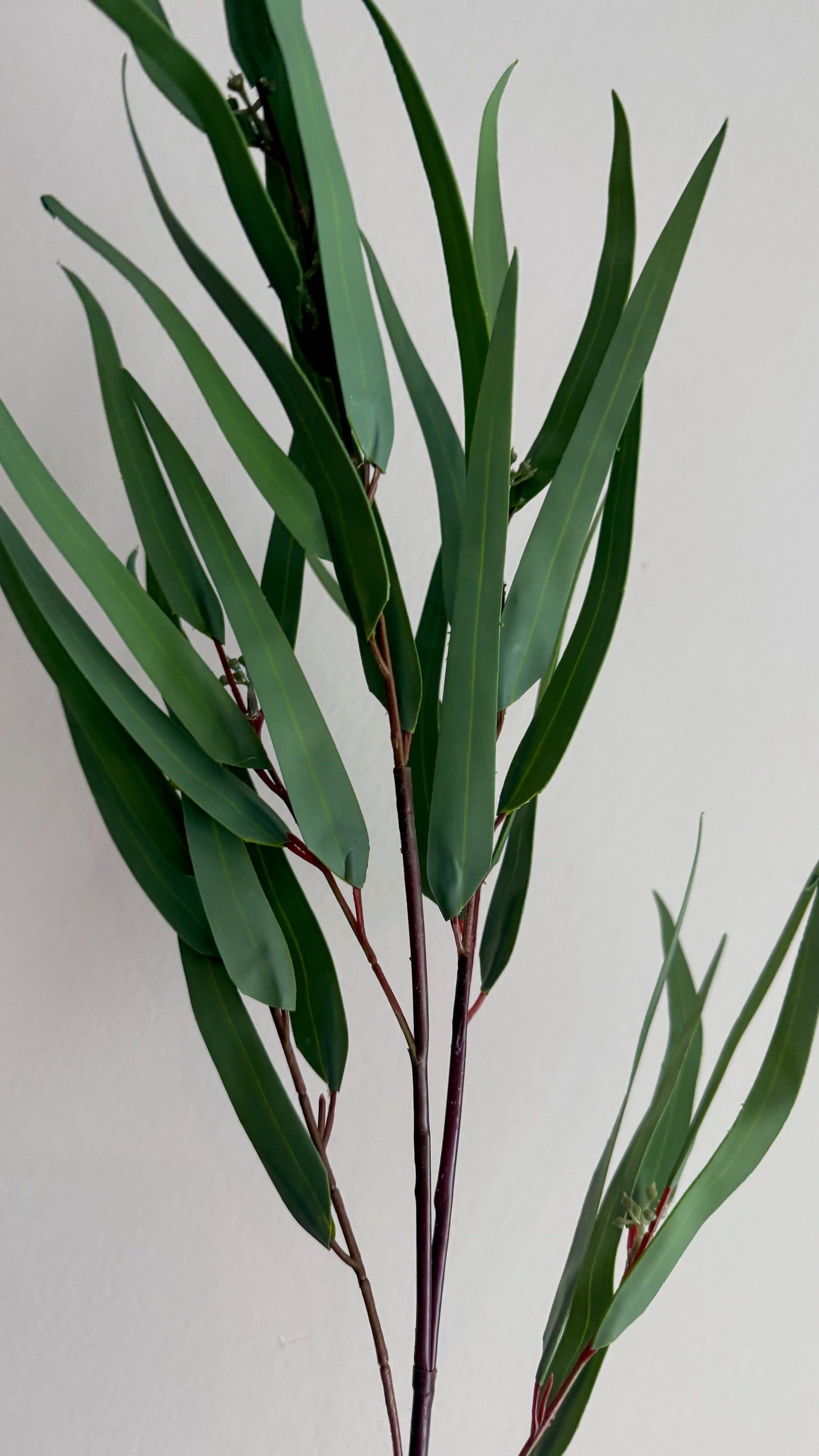 Eucalipto feather - 69 cm