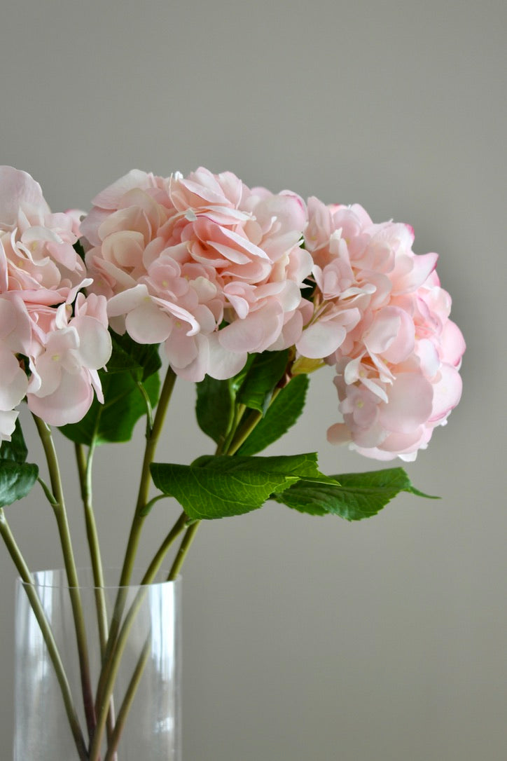 Hortensia Fresh Touch Rosa Claro con Hoja - 56 cm