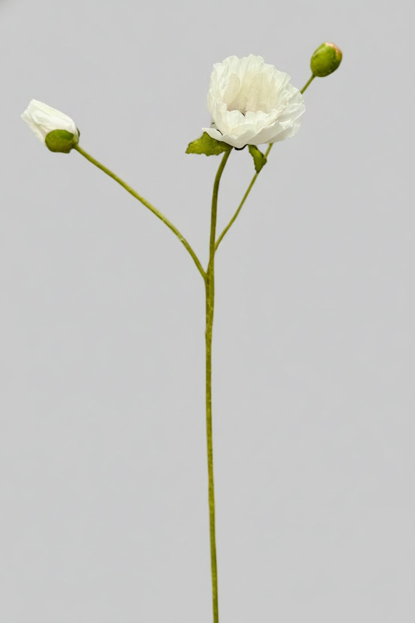 Poppy Blanca - 57 cm