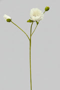 Poppy Blanca - 57 cm