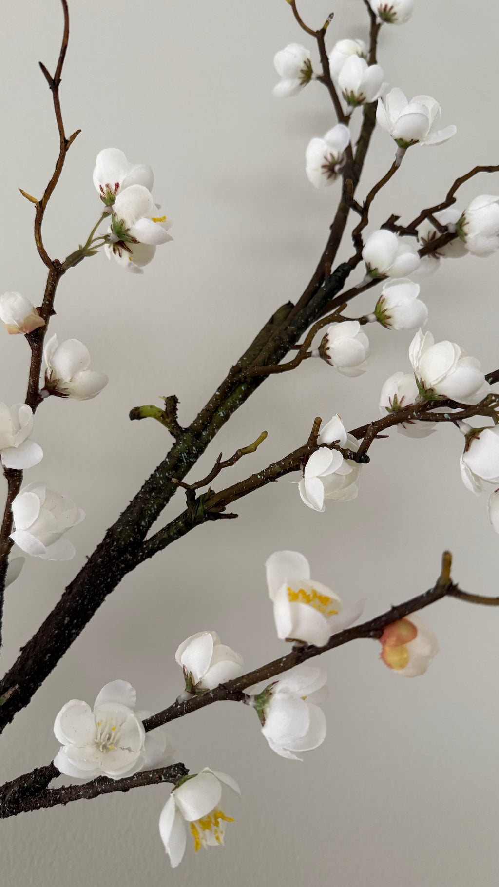 Plum blossom -120cm