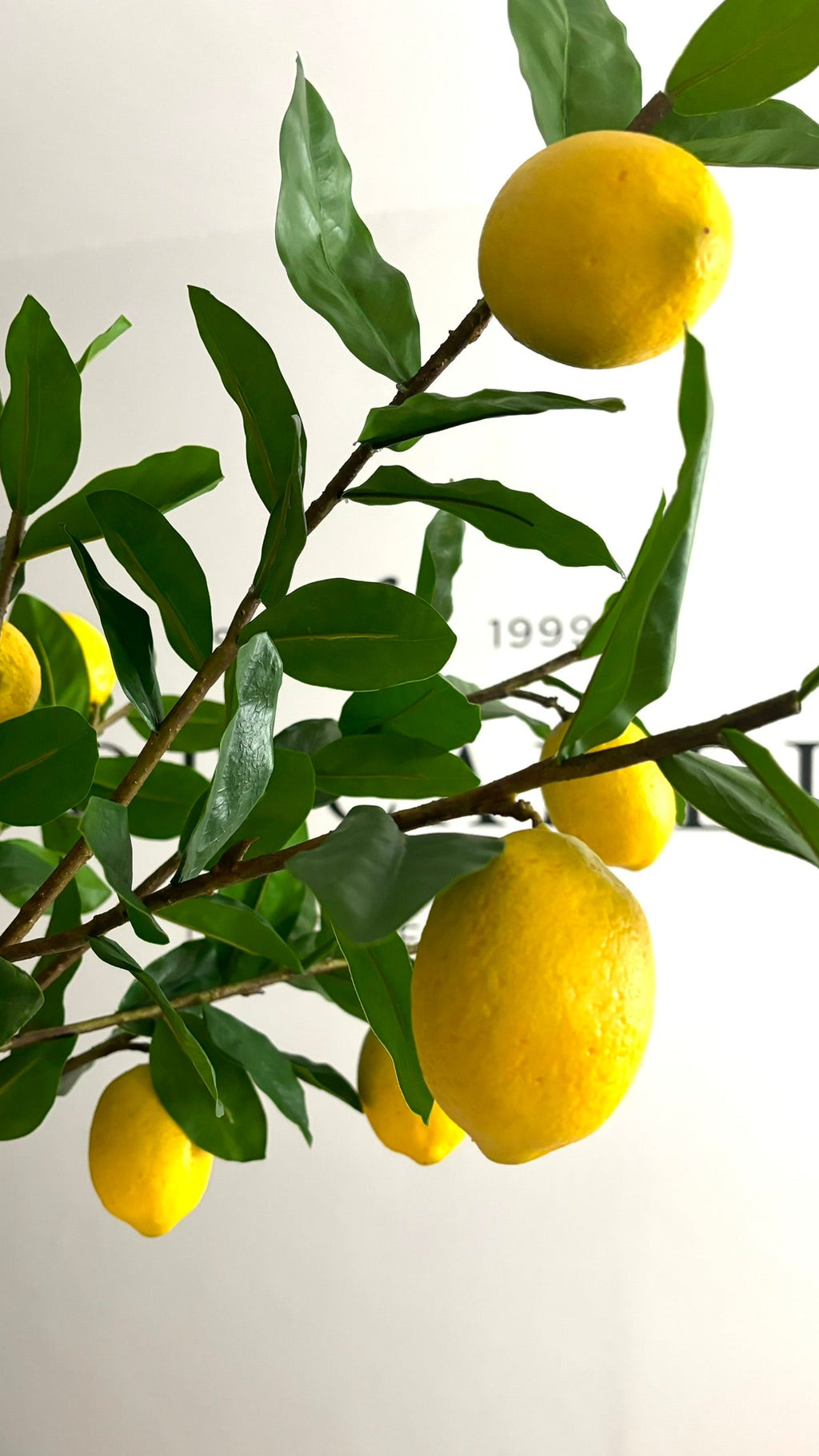 Lemon branch- 100cm