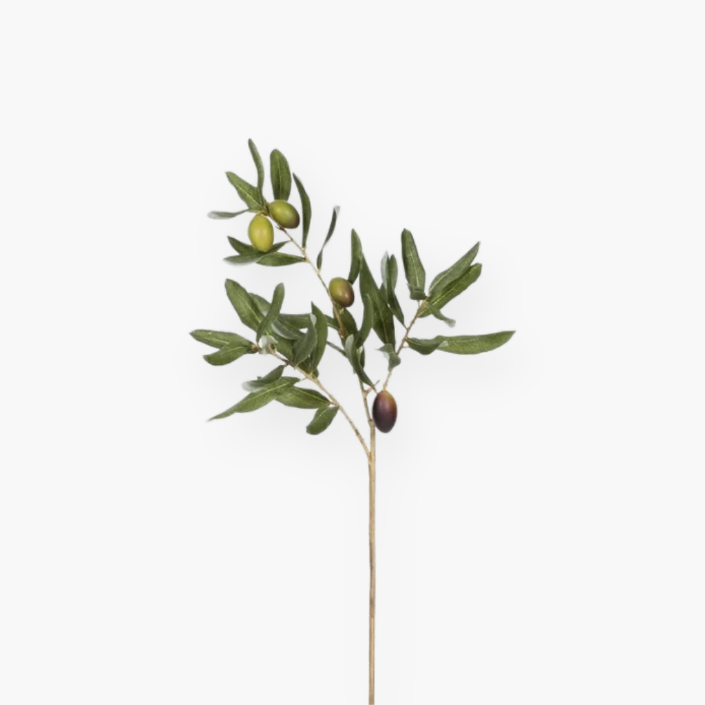 Olivo- 53 cm