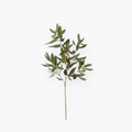 Olivo branch - 84 cm
