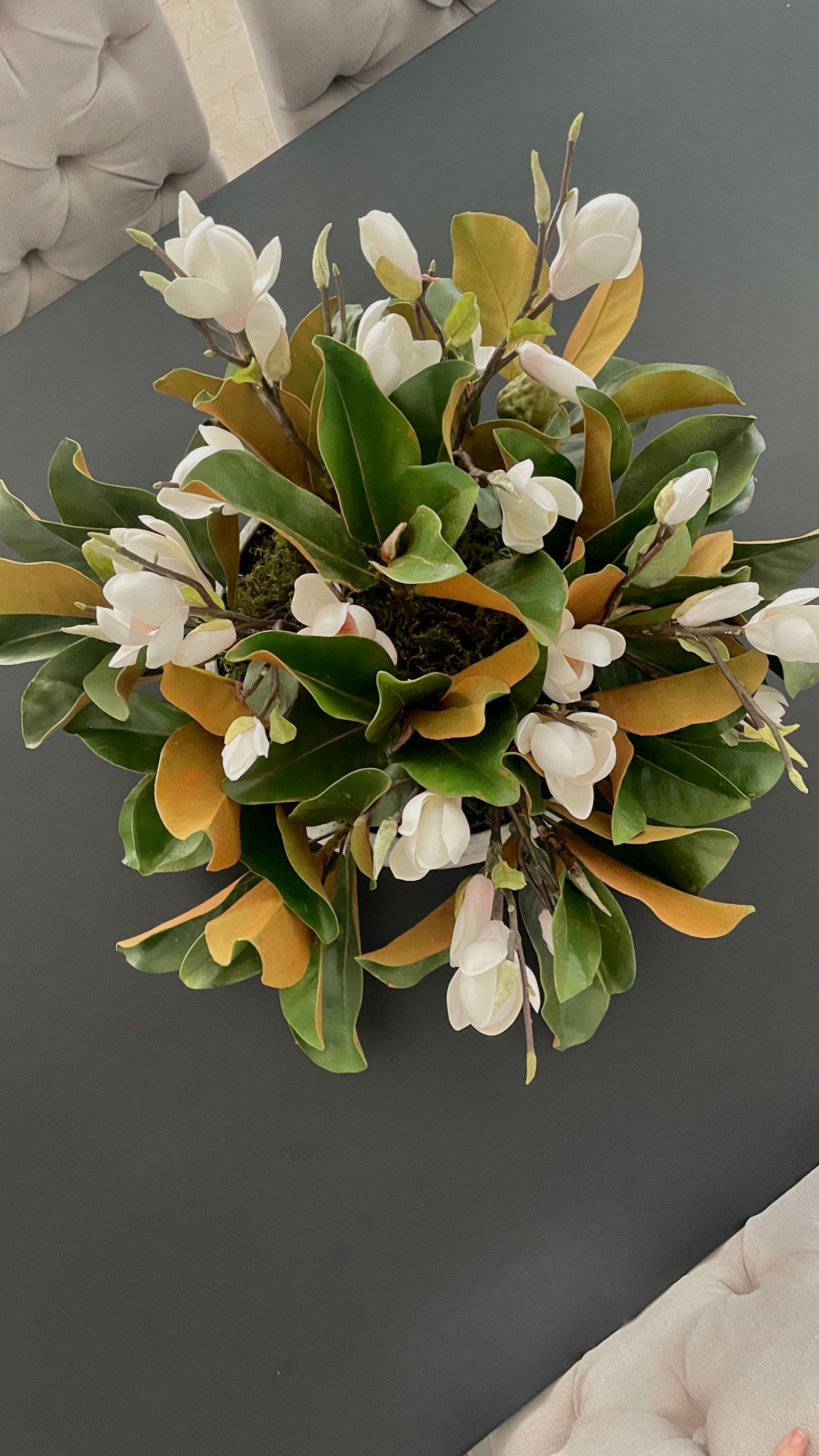 Hoja Magnolia Premium - 36 cm