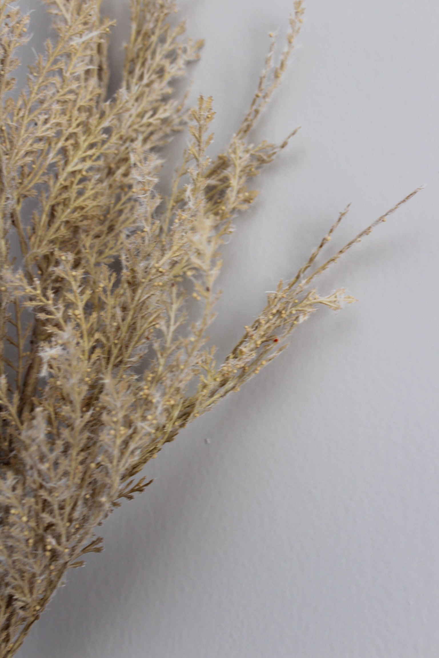 Pampas- 107 cm