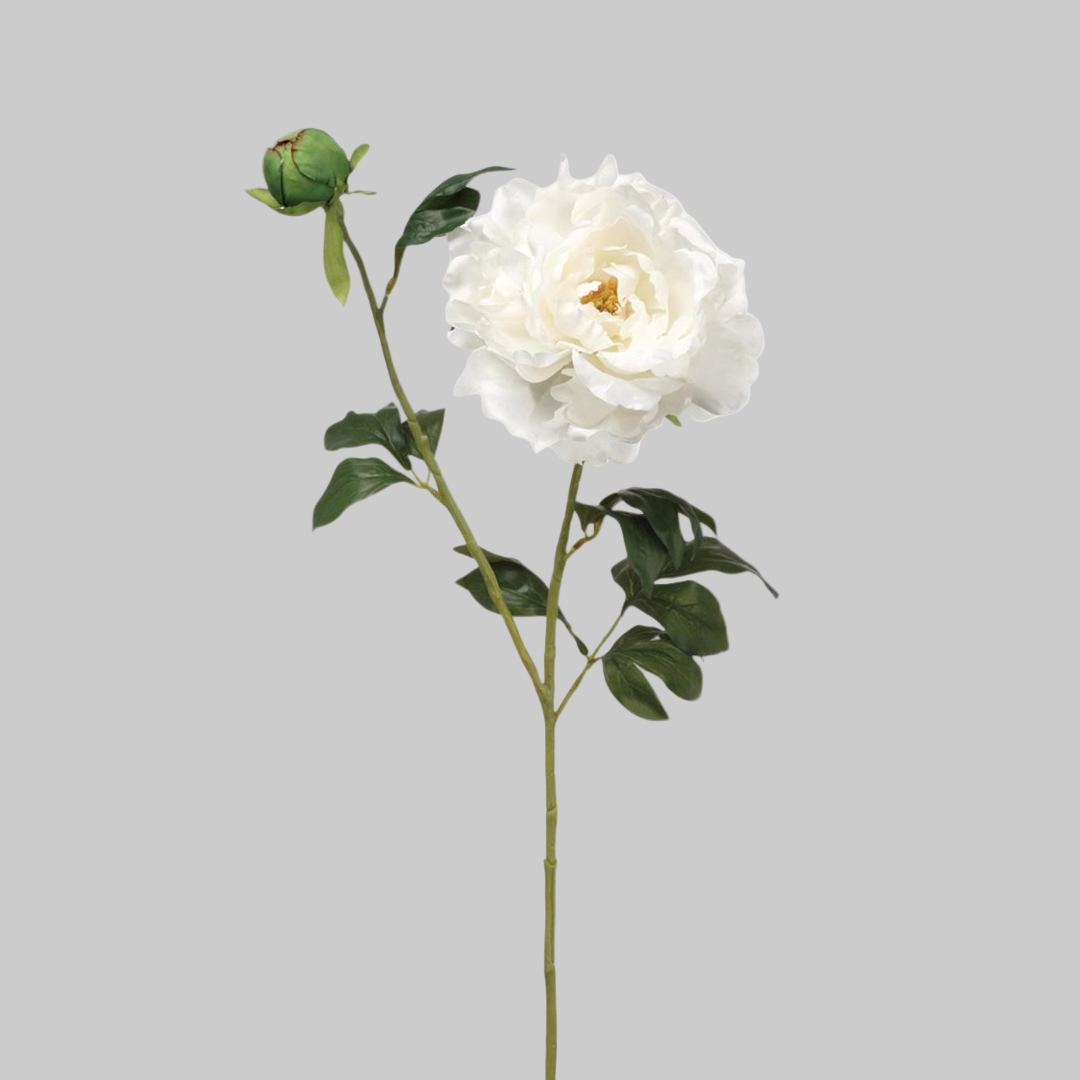Peonia Premium Blanca con Botón - 48 cm