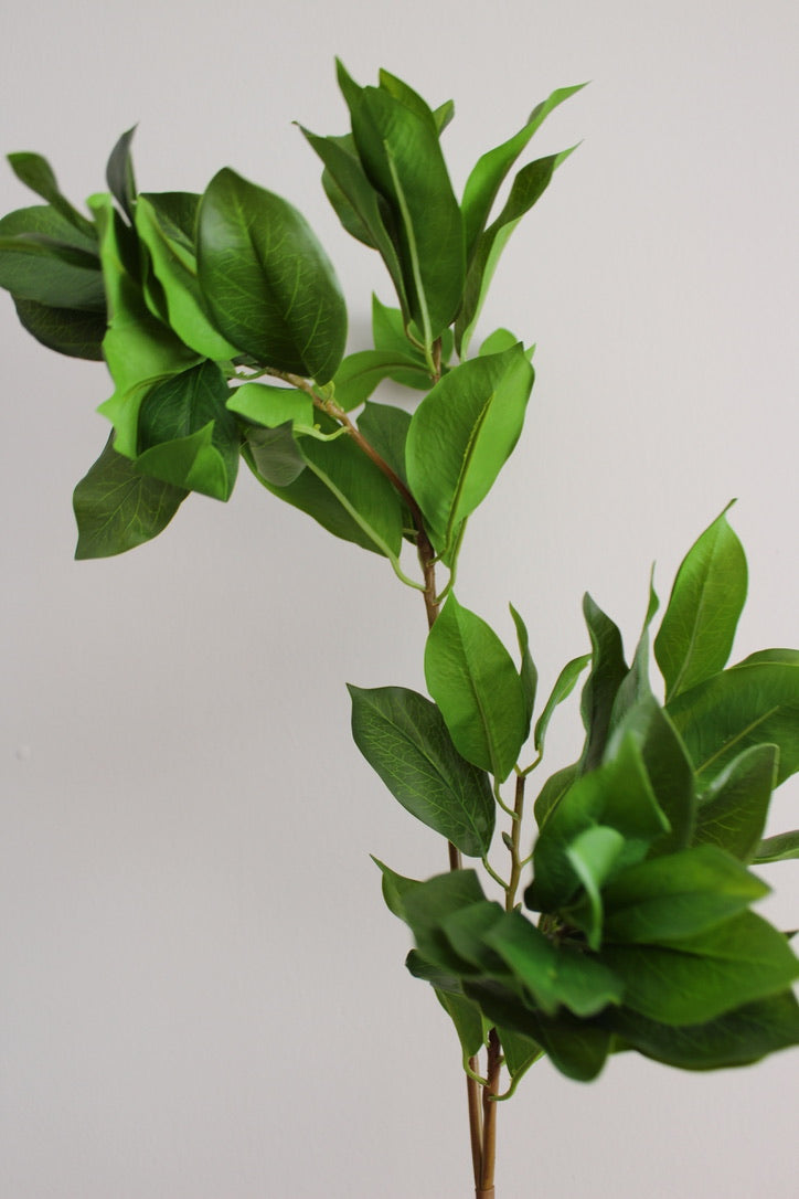 Laurel Branch - 97 cm