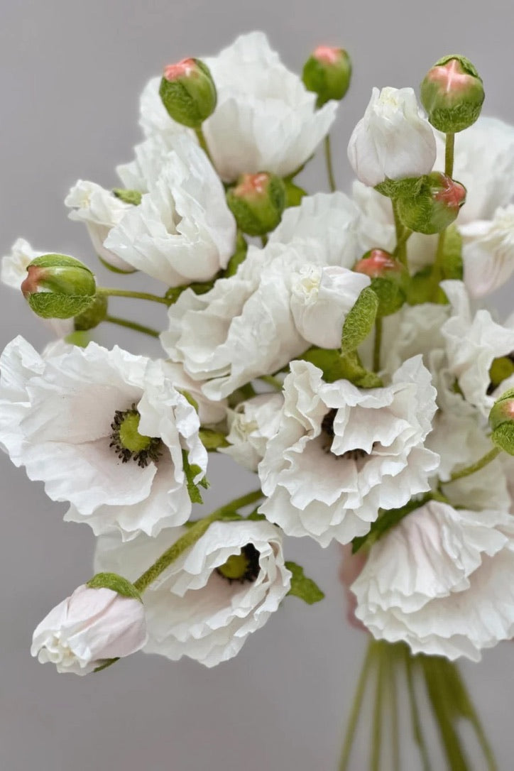 Poppy Blanca - 57 cm