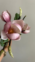 Magnolia Premium rosa - 50cm