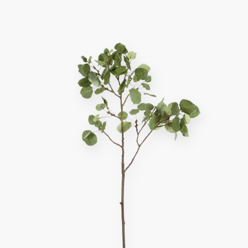Aspen branch - 107 cm