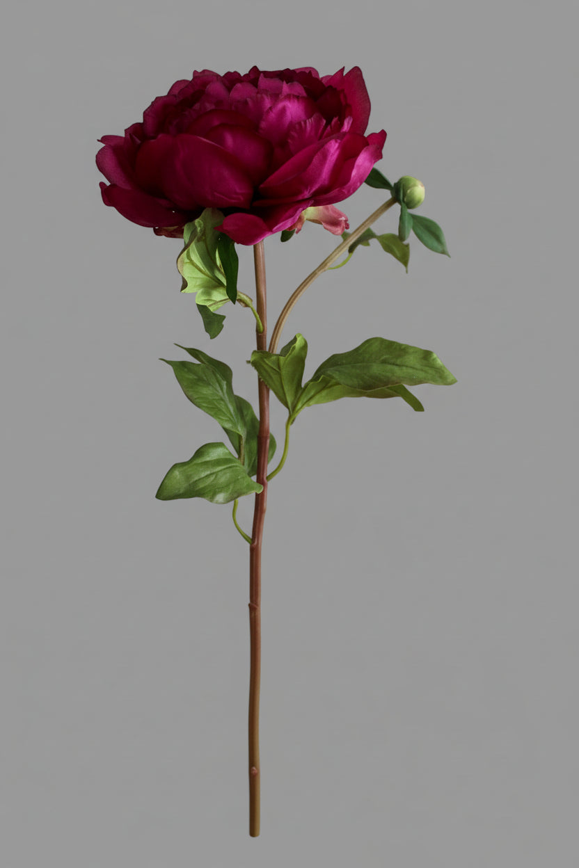 Peonia Premium Vino con Botón - 48 cm