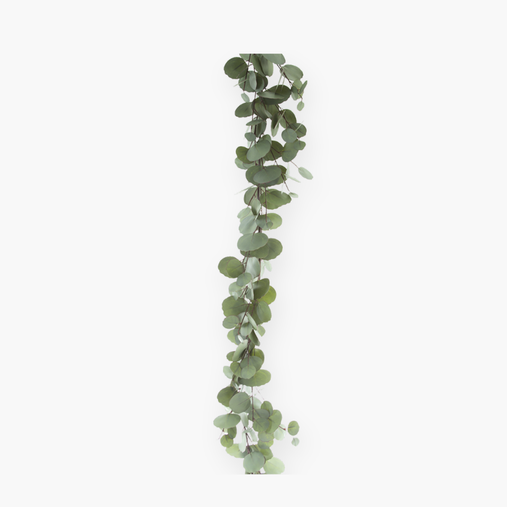 Guirnalda de Eucalipto   - 152 cm