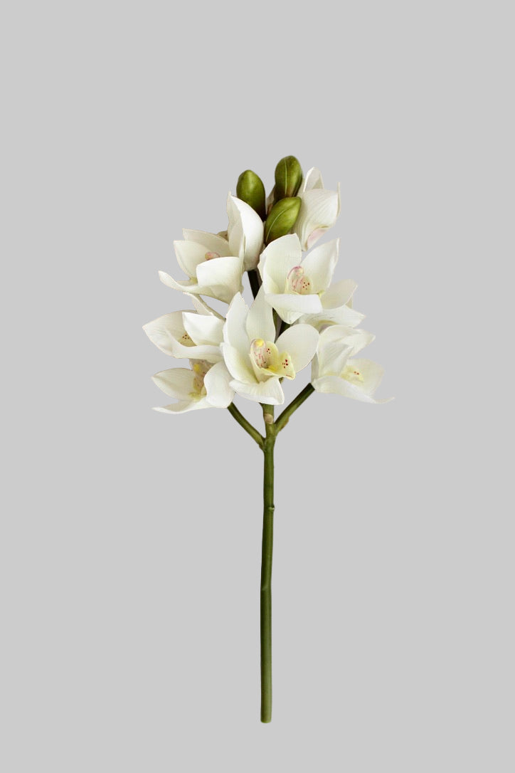 Orquidea Cymbidium Premium Blanca - 48 cm
