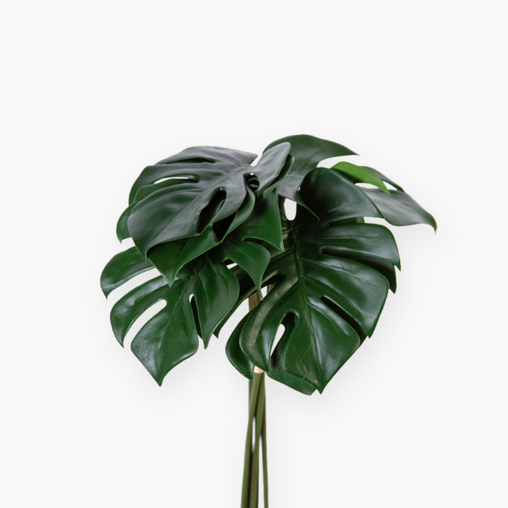 Ramo de Hojas de Monstera - 52 cm