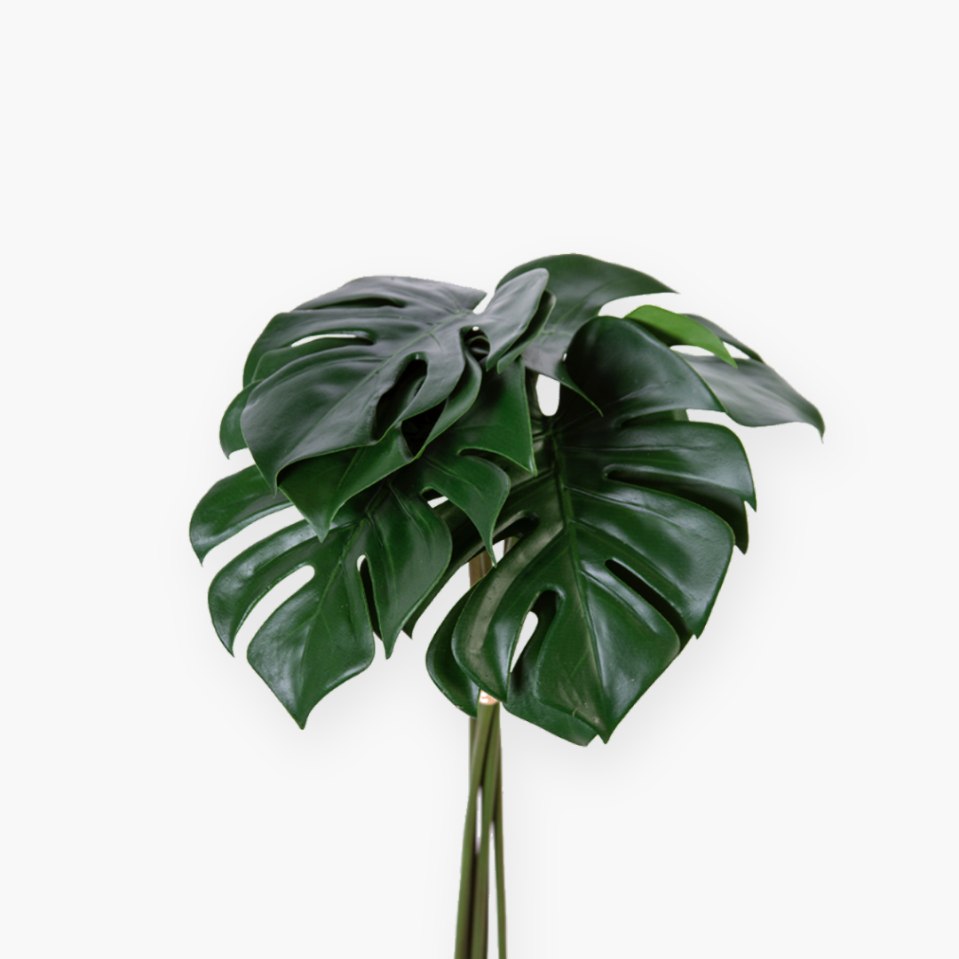 Hoja de Monstera en ramo - 52 cm