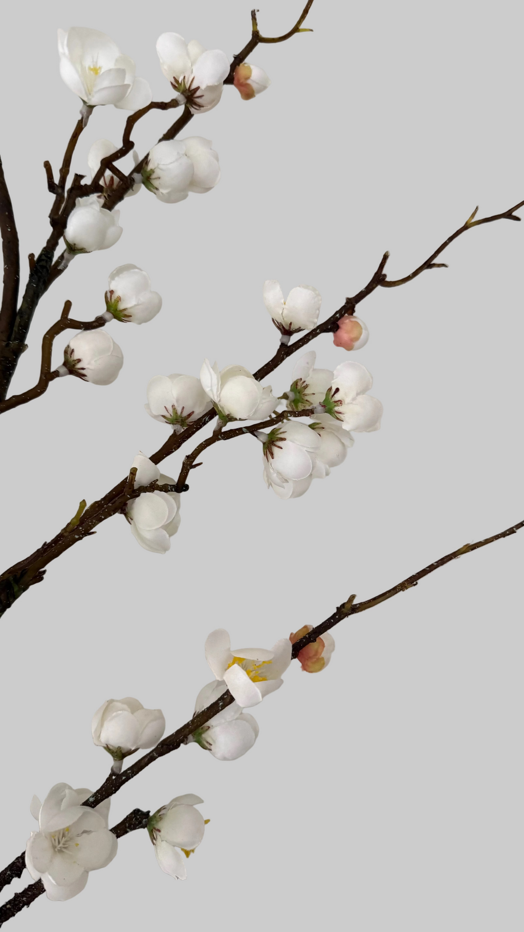 Plum blossom -120cm