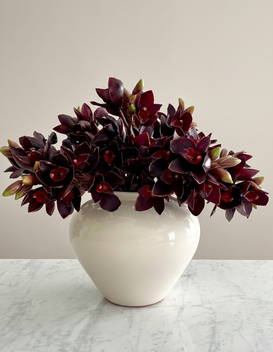 Orquidea Cymbidium Premium Vino - 48 cm