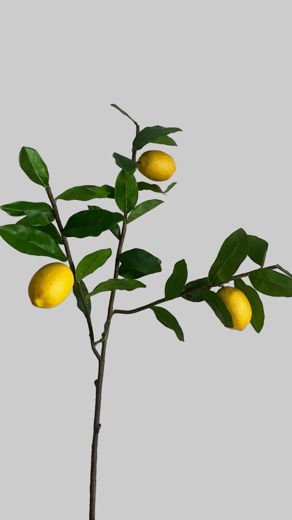 Lemon branch- 100cm