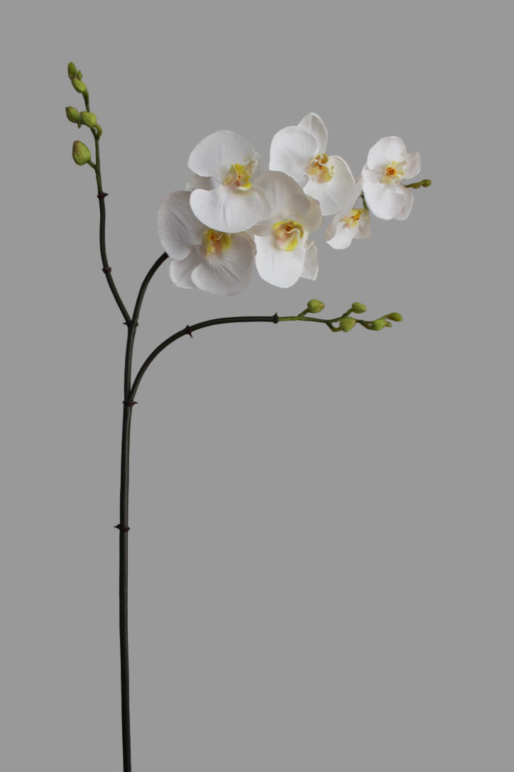 Orquidea Phalaenopsis Triple Vara - 94 cm