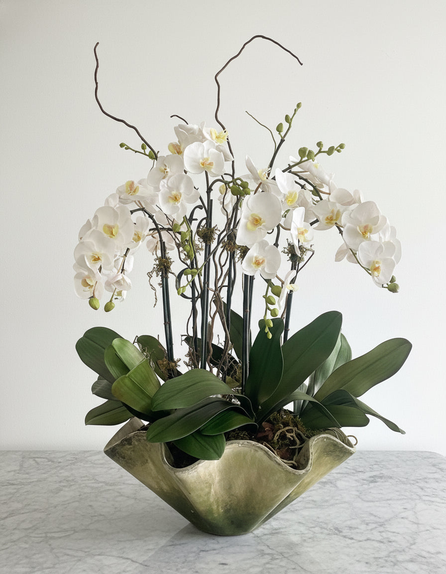 Orquidea Phalaenopsis Triple Vara - 94 cm