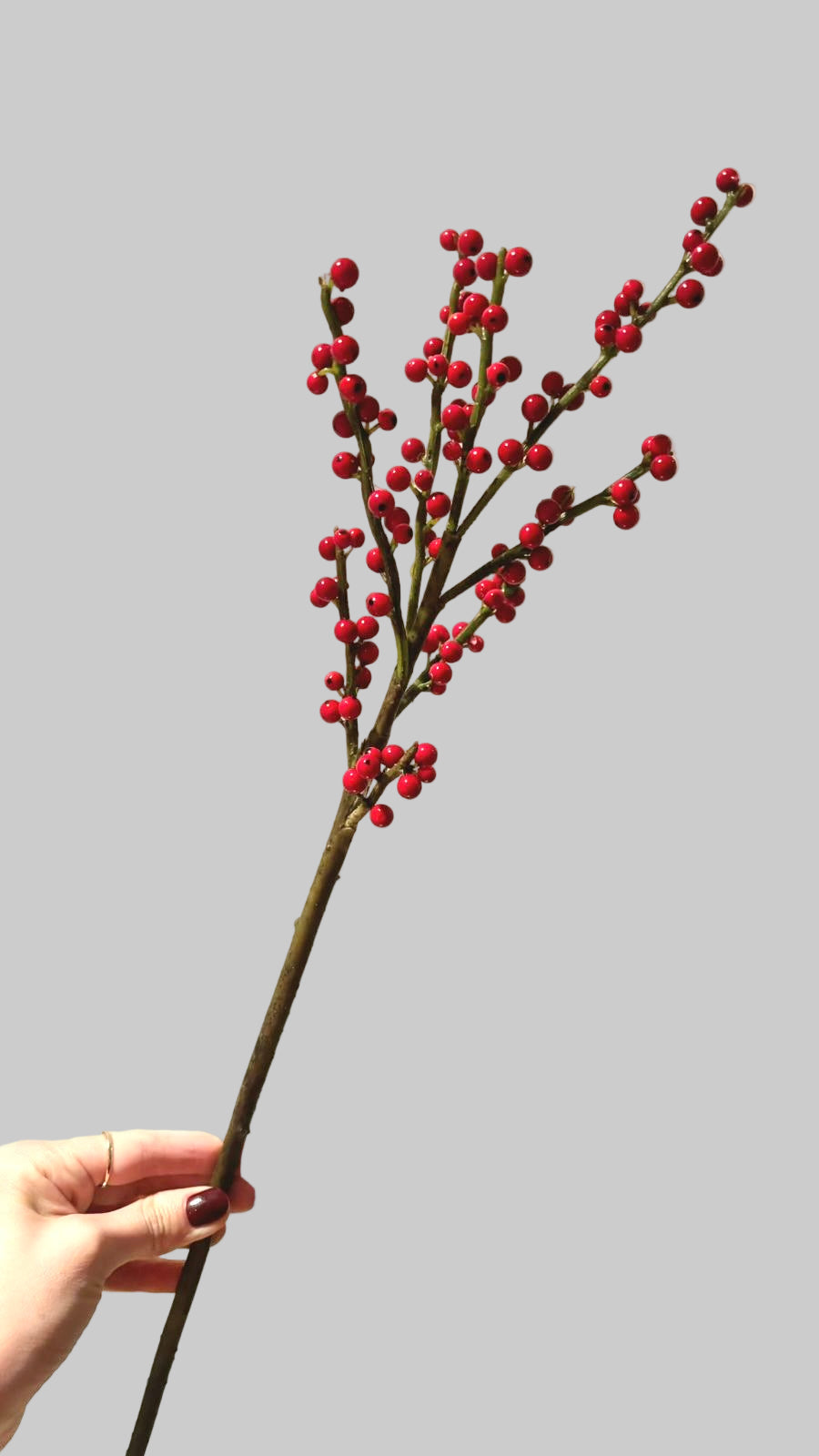 Ilexpick - 52 cm