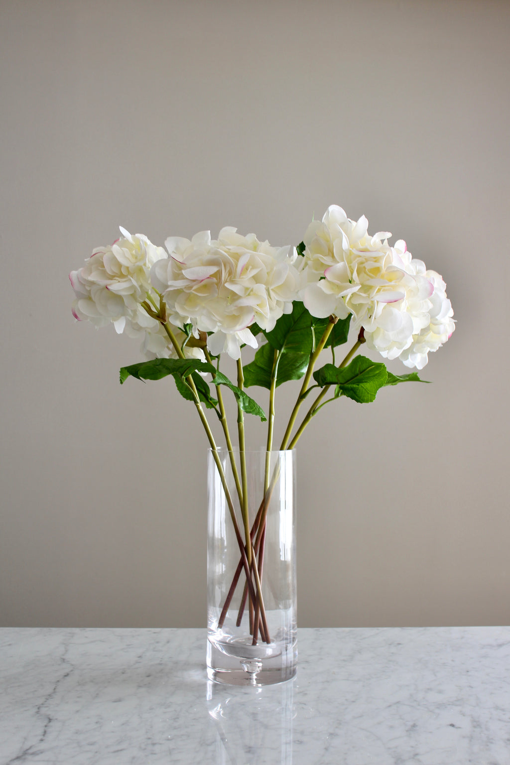Hortensia Fresh Touch blanco/rosa - 56cm