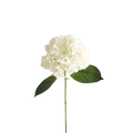Hortensia Fresh con Hoja  Blanca - 56 cm