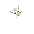 Magnolia Premium blanca - 51 cm
