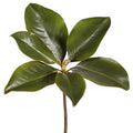 Hoja Magnolia Premium - 36 cm
