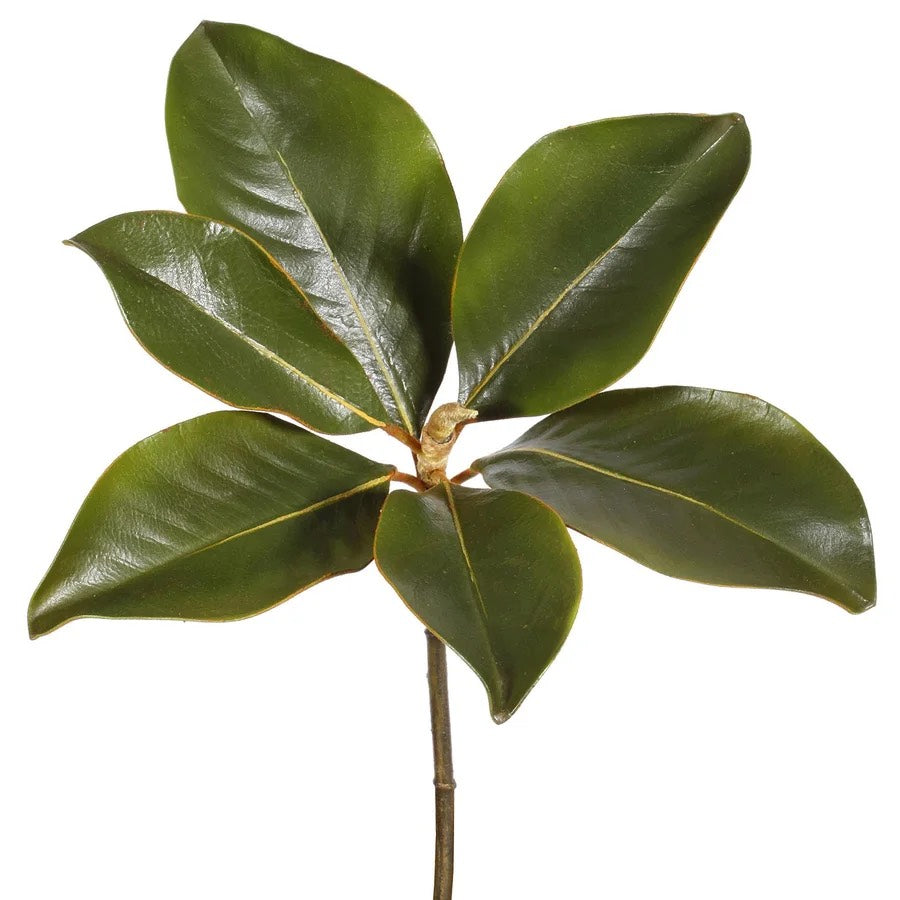 Hoja Magnolia Premium - 36 cm