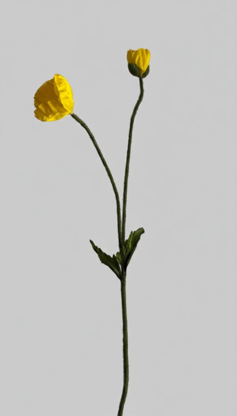 Poppy Amarilla - 74 cm