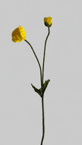 Poppy Amarilla - 74 cm
