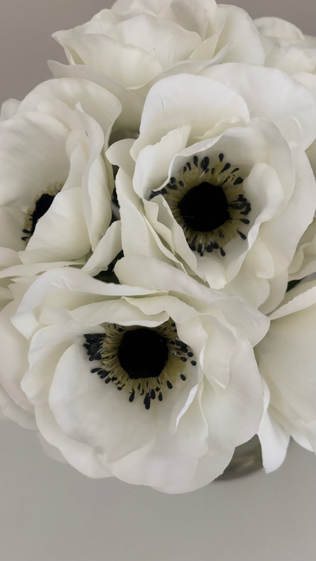 Anémona blanca natural touch |44cm