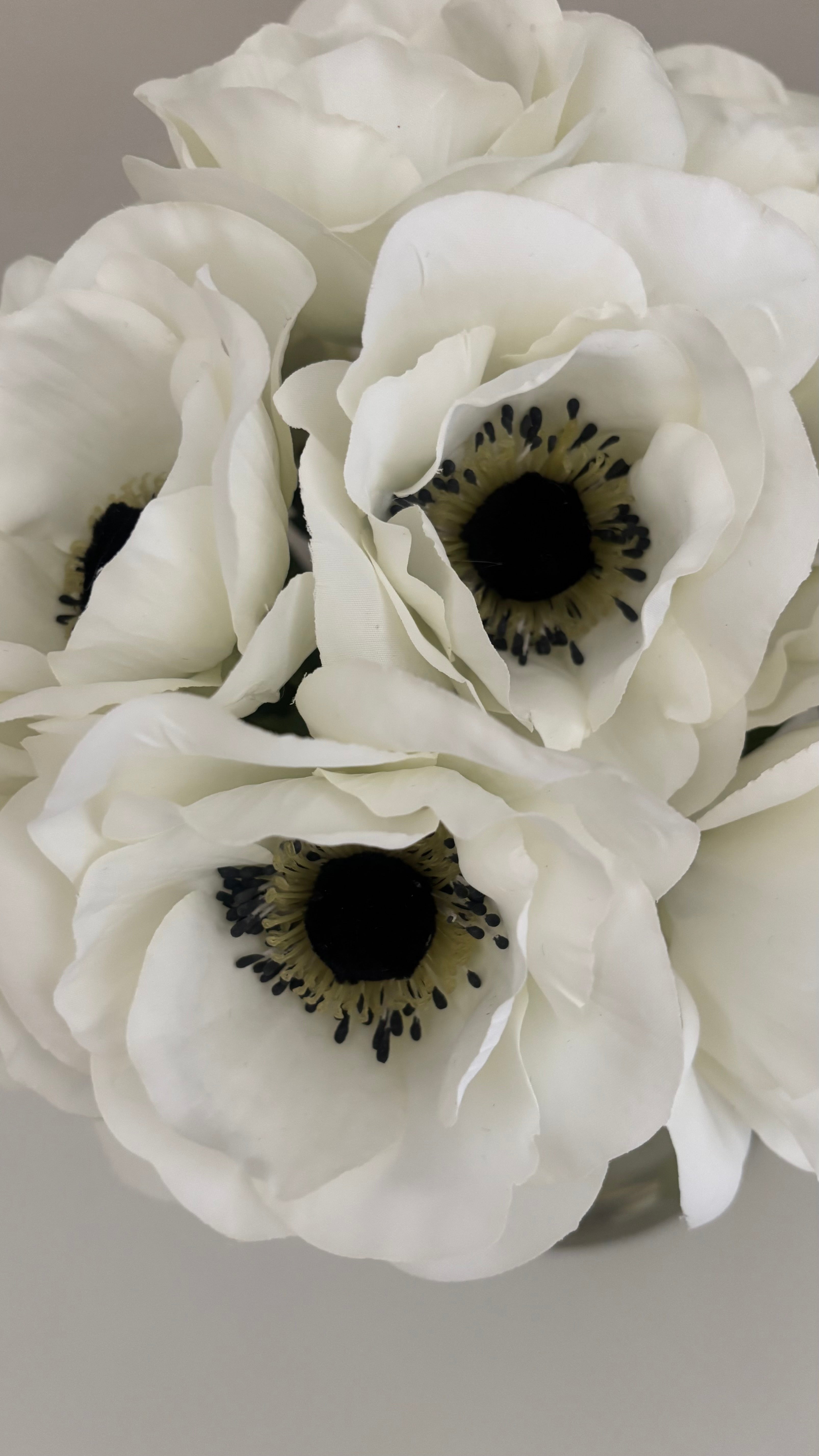 Anémona blanca natural touch |44cm