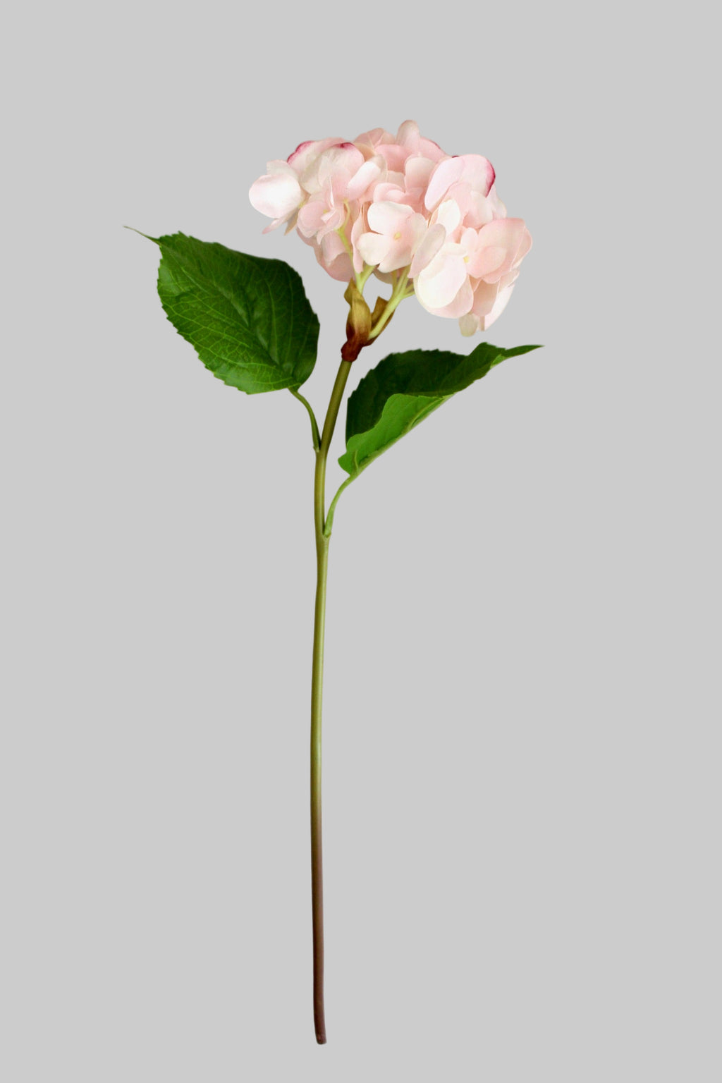 Hortensia Fresh Touch Rosa Claro con Hoja - 56 cm