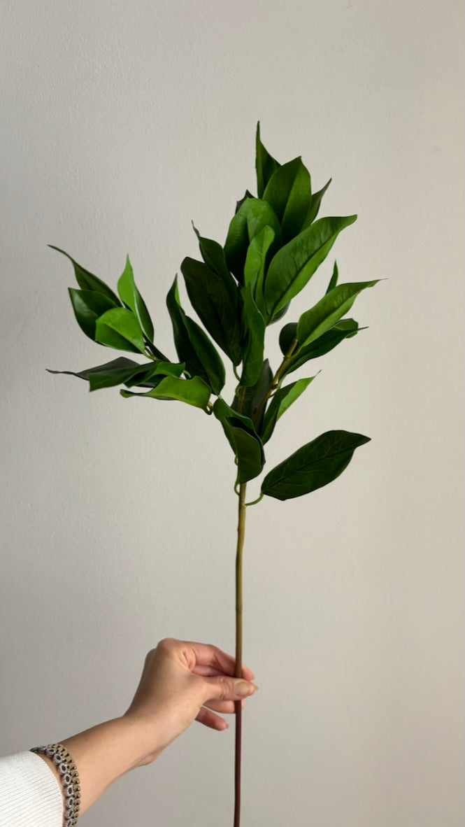 Laurel - 61 cm