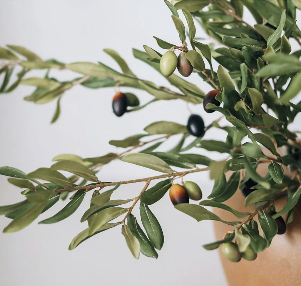 Olivo- 53 cm