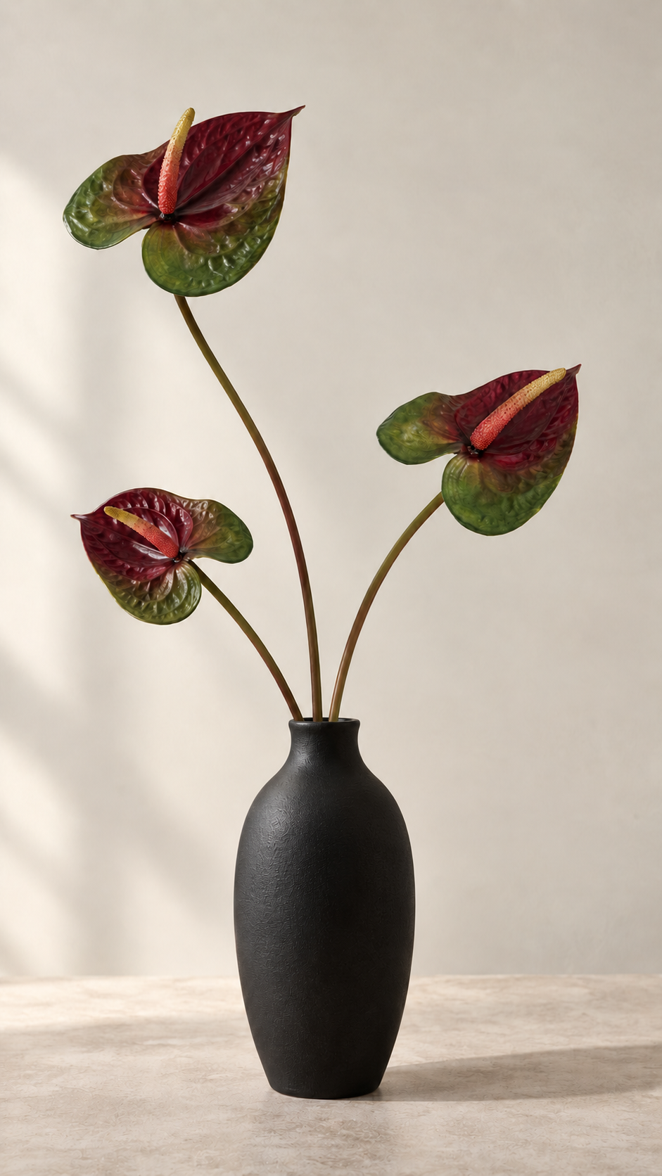 Anturio Bordeaux -56 cm