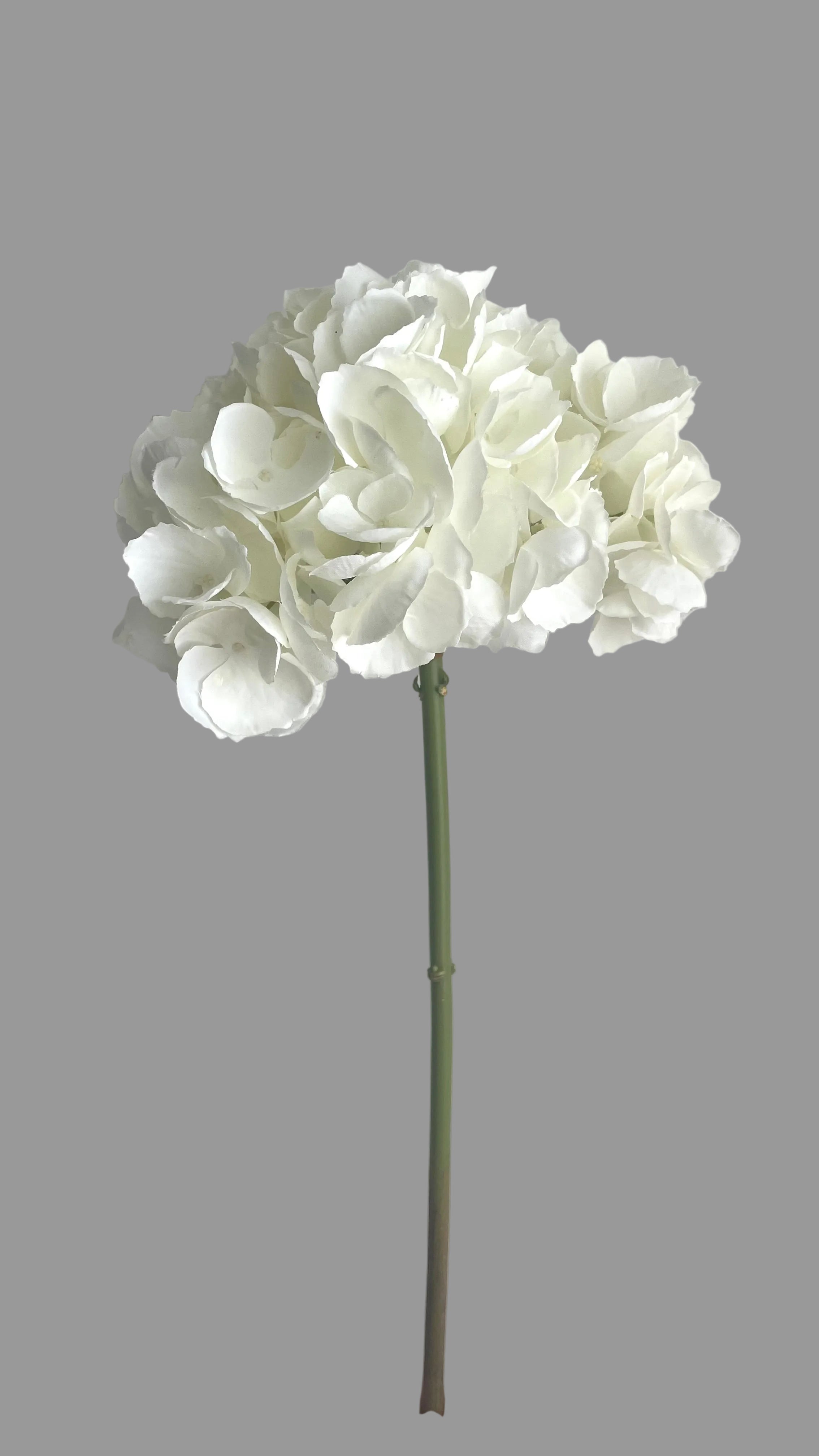 Hortensia Premium blanca - 46cm
