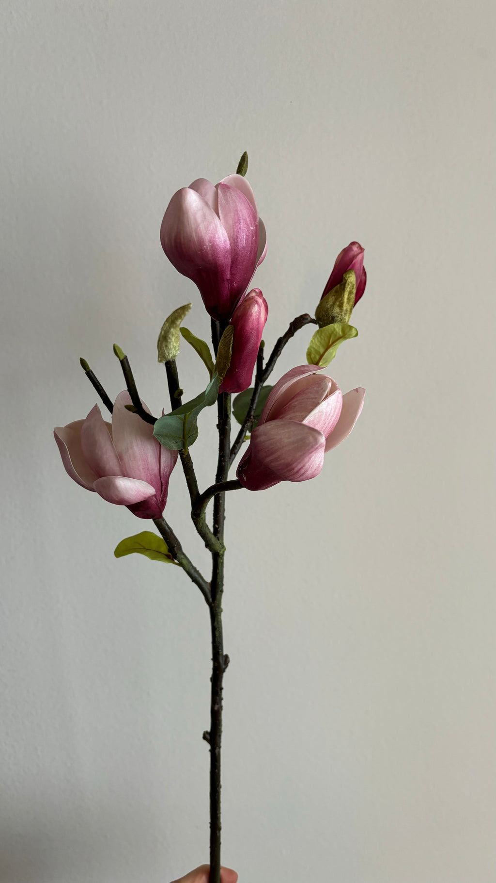 Magnolia Premium rosa - 50cm