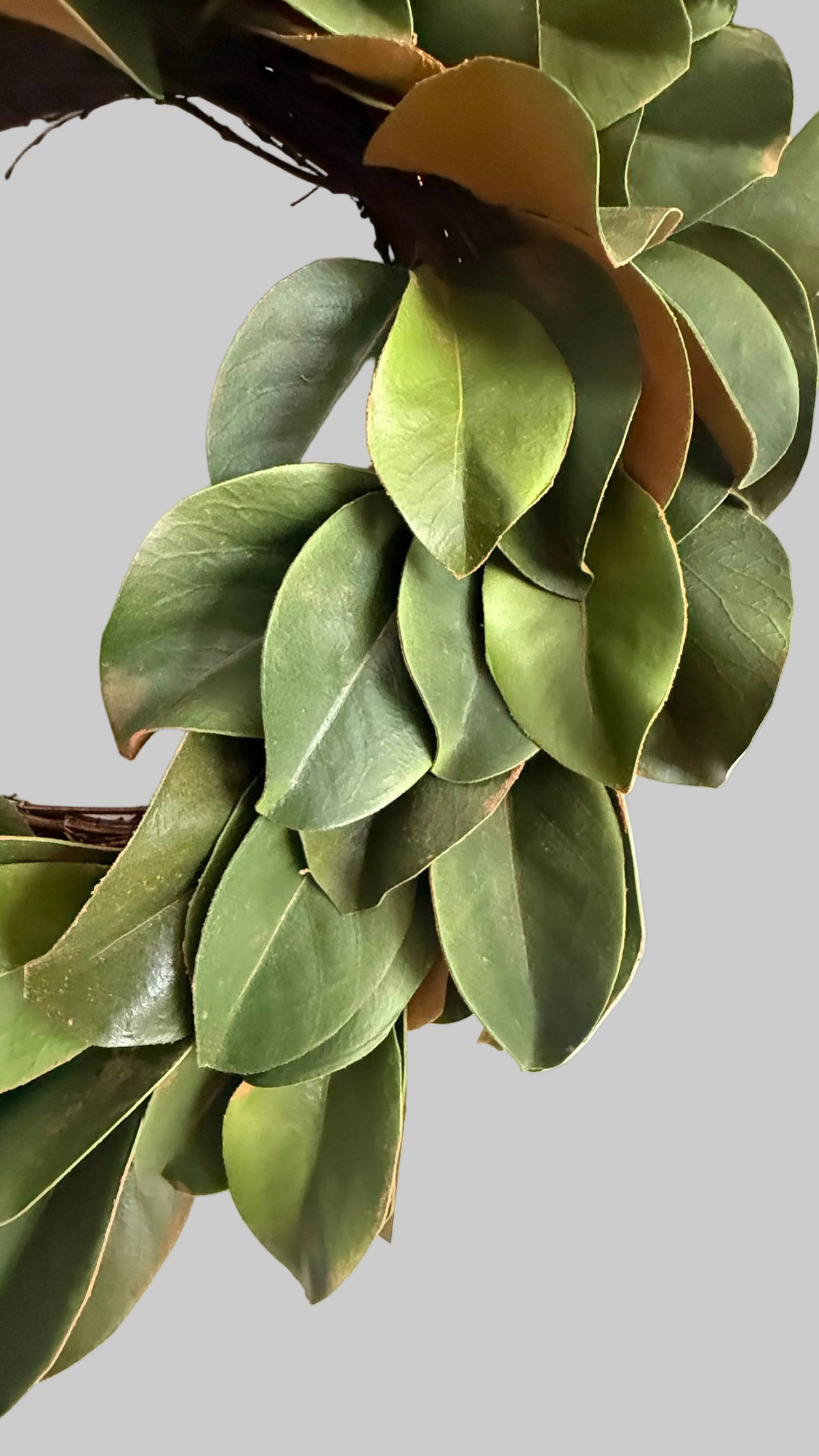 Corona de Magnolia - 60cm