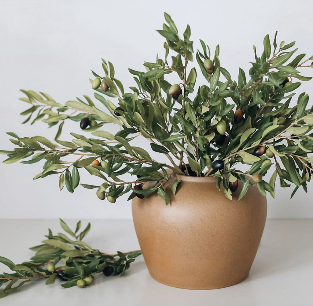 Olivo- 53 cm